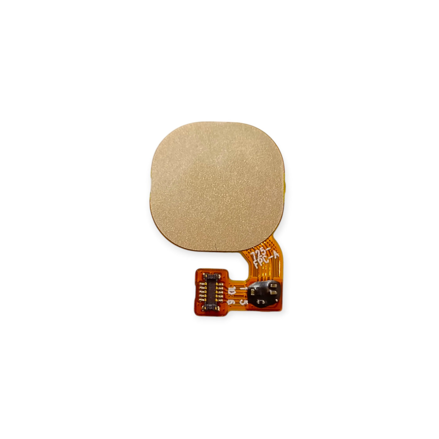 Infinix Hot 8 Lite (X650) Fingerprint Sensor  – Rear-Mounted Optical Sensor&nbsp;
